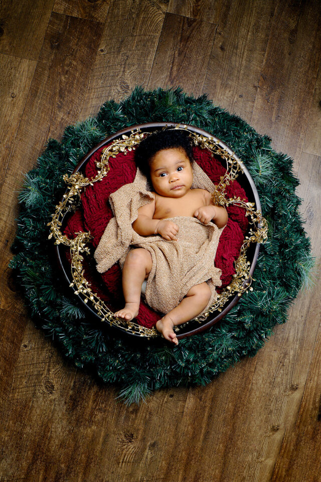 Seasonal Photography