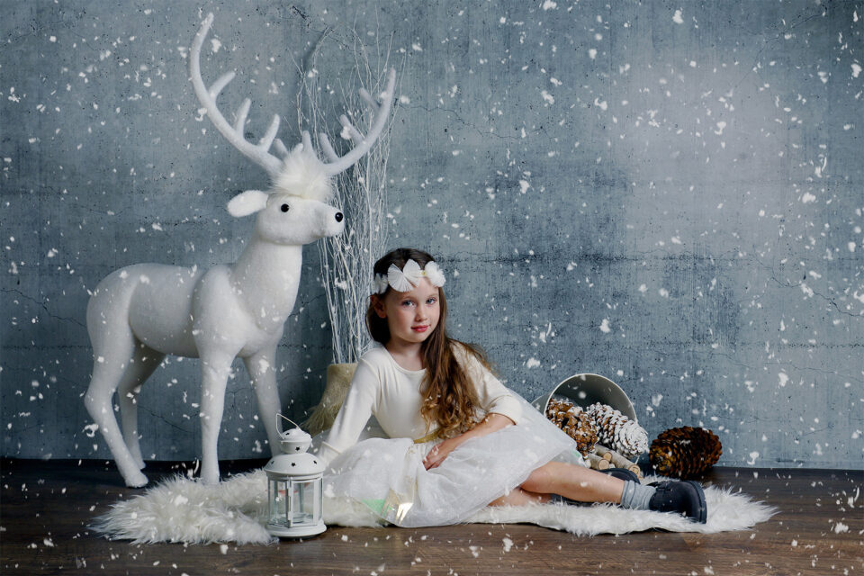 Seasonal Photography