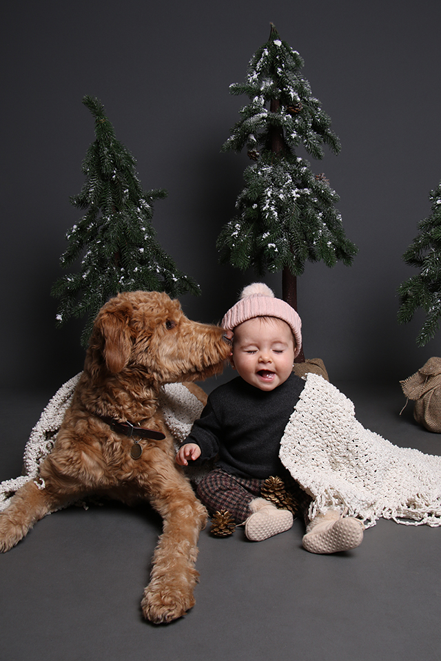 Seasonal Photography